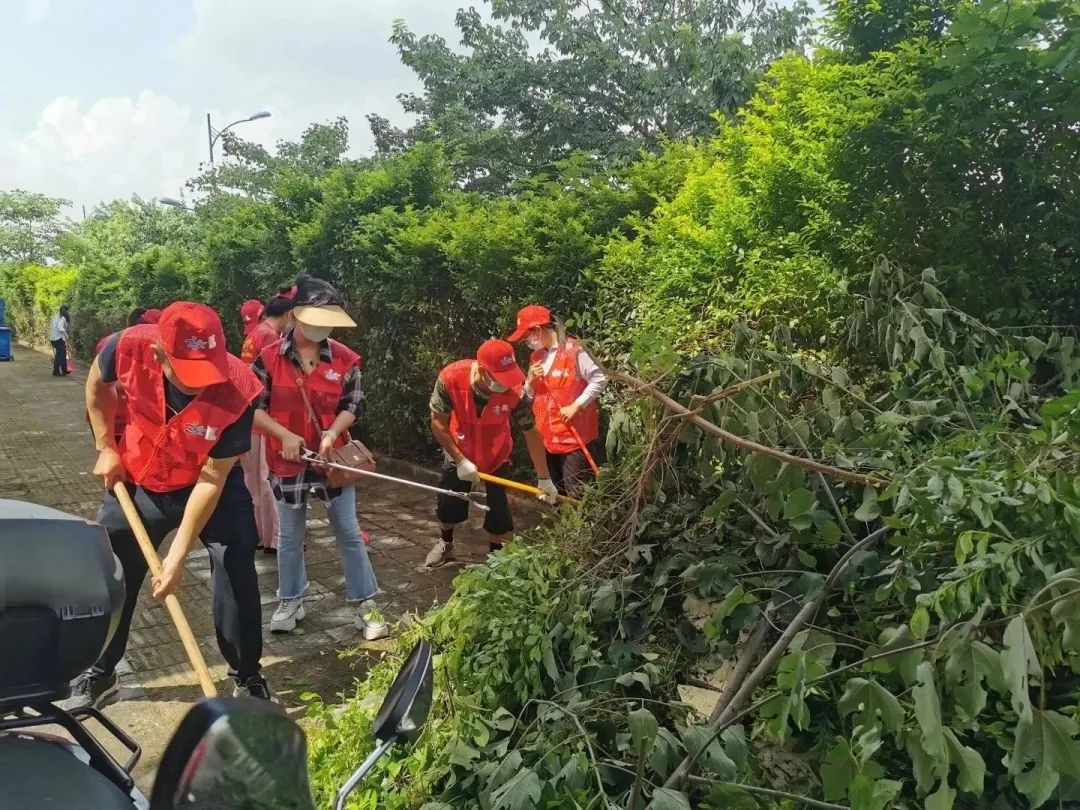 640 - 2023-08-07T084536.421.jpg