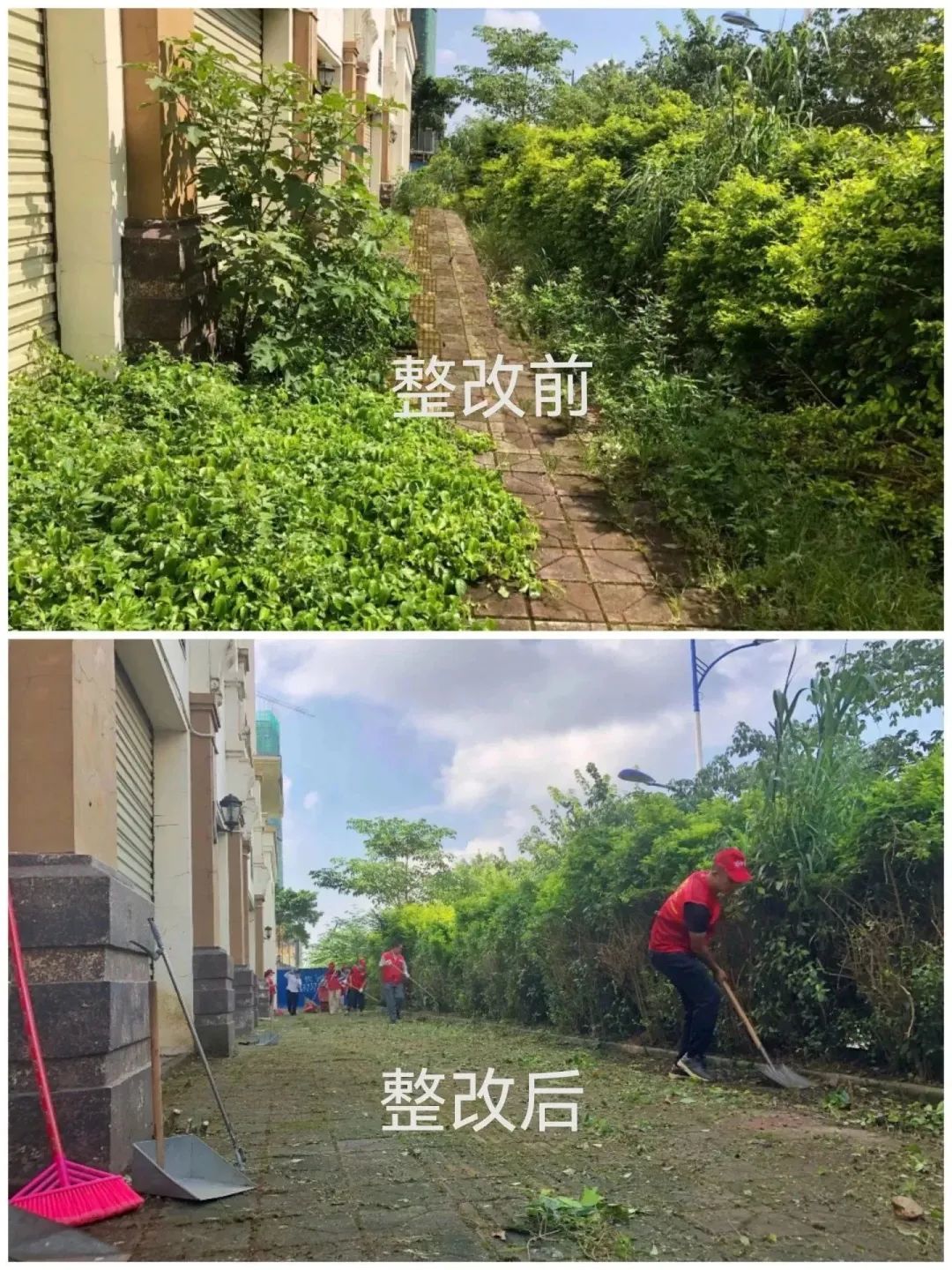 640 - 2023-08-07T084552.423.jpg