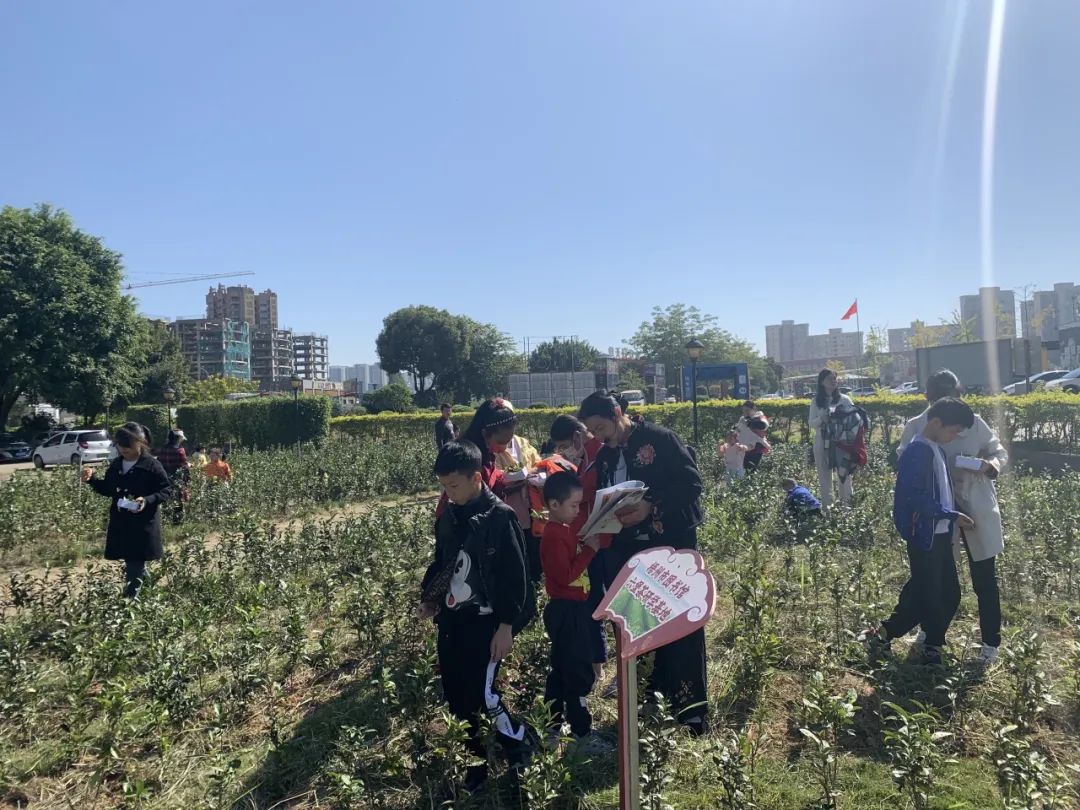 640 - 2023-11-22T085146.956.jpg