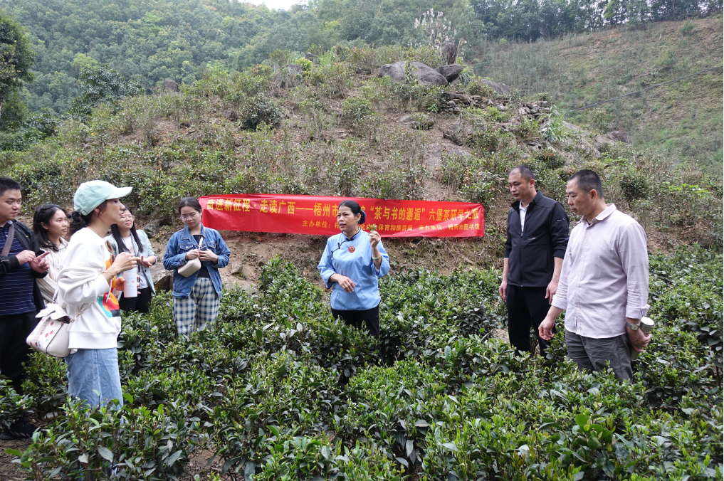 640 - 2024-02-08T164123.187.png 640 - 2024-02-08T164123.187.png