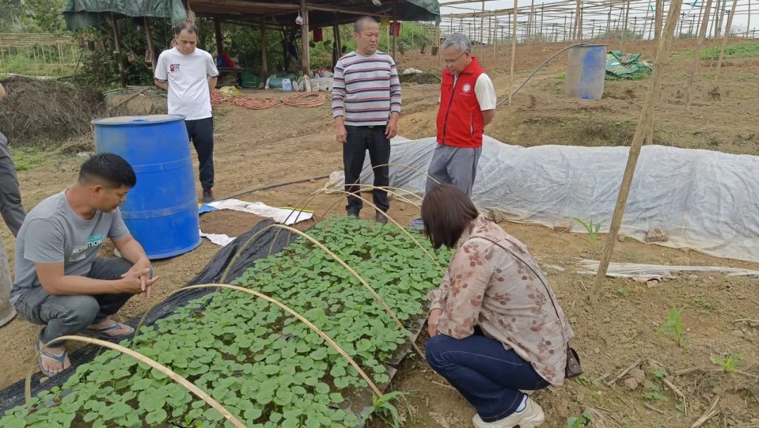 640 (21).jpg 640 (21).jpg