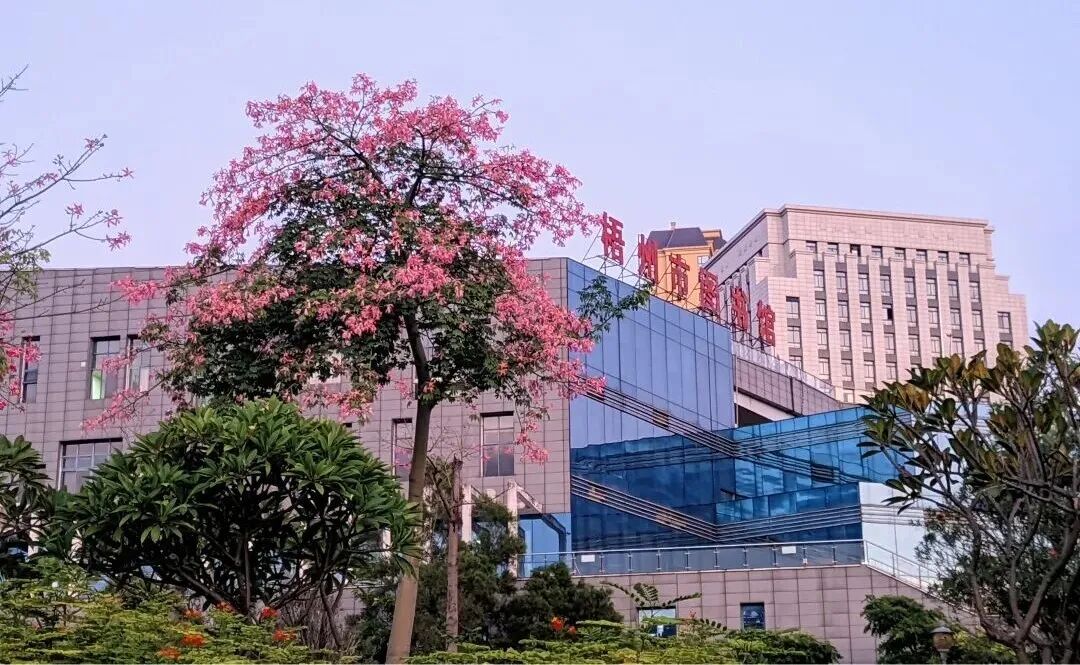 梧州市图书馆2025年12月份系列活动预告