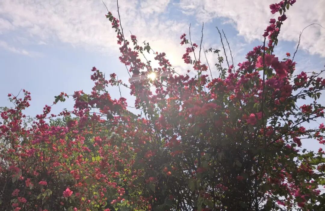 640 (1).jpg 640 (1).jpg