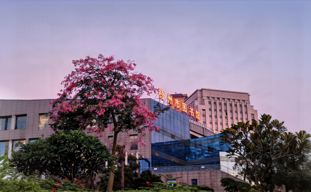 梧州市图书馆2026年3月份系列活动预告